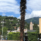 IMG_2327.JPG