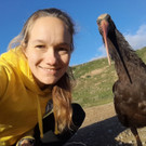 PA_Waldrapp3.jpg