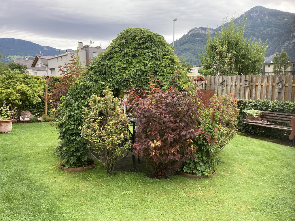 IMG_5886.jpg