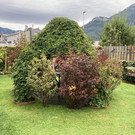 IMG_5886.jpg
