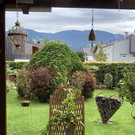 IMG_5897.jpg