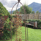 IMG_5906.jpg