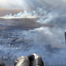 AFP_33QT9UM.jpg