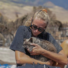 Feuer im Paradies: Opferzahl in Hawaii steigt auf 67 - Lahaina zerstört
