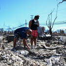 AFP_33R42DZ.jpg