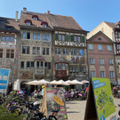 IMG_3037.jpeg