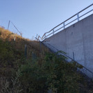 ABD0020-20230812.jpg
