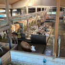 IMG_1348.jpeg