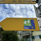 IMG_6837.JPG