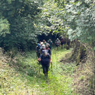 IMG_6840.JPG