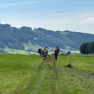 IMG_6864.JPG