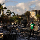 AFP_33R423M.jpg