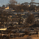 AFP_33R424C.jpg