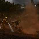 AFP_33R68K3.jpg