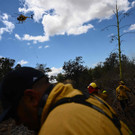 AFP_33R68K4.jpg