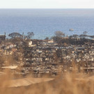 AFP_33R94DT.jpg