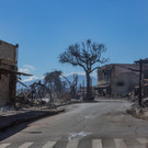 AFP_33RA4D8.jpg