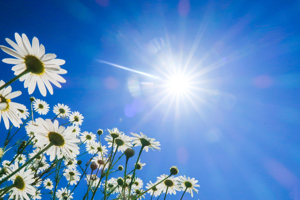 Sonne_Jos_Hebben_04.jpg
