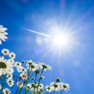 Sonne_Jos_Hebben_04.jpg