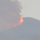 2023-08-16T110510Z_62164703_RC2YO2AX3C1G_RTRMADP_3_EUROPE-WEATHER-SPAIN-WILDFIRE.JPG