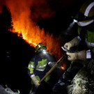 2023-08-17T015413Z_166305902_RC29P2A4DZLE_RTRMADP_3_EUROPE-WEATHER-SPAIN-WILDFIRE.JPG