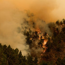 2023-08-17T015949Z_210813841_RC27P2AF235H_RTRMADP_3_EUROPE-WEATHER-SPAIN-WILDFIRE.JPG
