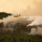 2023-08-17T104610Z_2064947298_RC2LP2A7EVTC_RTRMADP_3_EUROPE-WEATHER-SPAIN-WILDFIRES.JPG