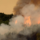 2023-08-17T104856Z_1643640263_RC2MP2AZC39H_RTRMADP_3_EUROPE-WEATHER-SPAIN-WILDFIRES.JPG