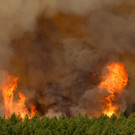 2023-08-17T104857Z_858313722_RC2MP2AXDPC1_RTRMADP_3_EUROPE-WEATHER-SPAIN-WILDFIRES.JPG