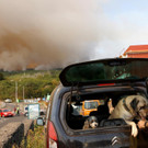 2023-08-17T105546Z_1148299086_RC2MP2AHUAGJ_RTRMADP_3_EUROPE-WEATHER-SPAIN-WILDFIRES.JPG