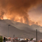 AFP_33RC3W6_1.jpg