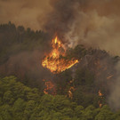 Spain_Tenerife_Wildfires_20219.jpg