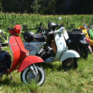 DSC_0003.JPG