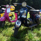 DSC_0026.JPG