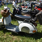 DSC_0031.JPG