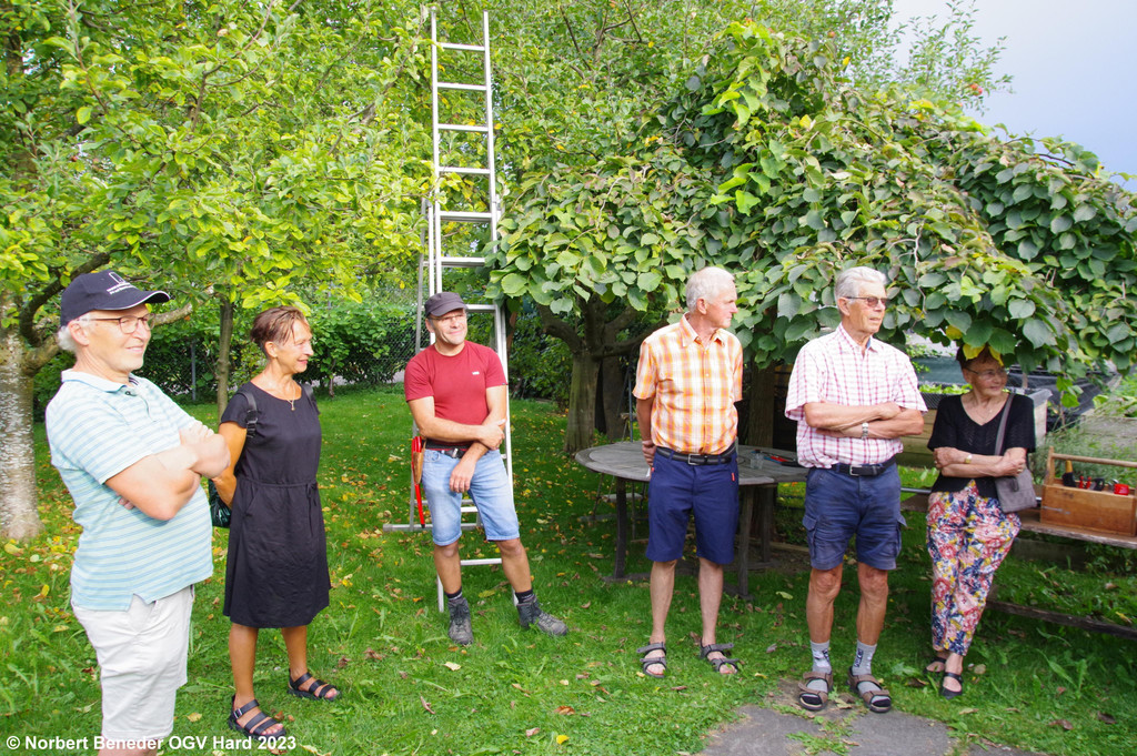 Sommerschnittkurs_2023_05.jpg