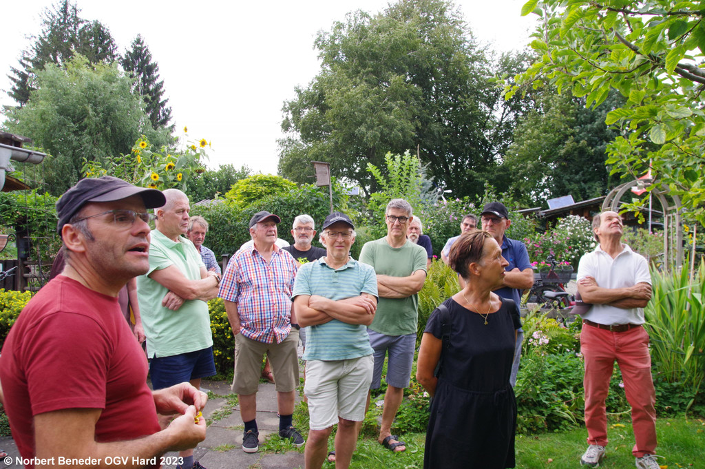 Sommerschnittkurs_2023_10.jpg