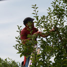 PU1_5636 - Kopie.JPG