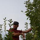 PU1_5638 - Kopie.JPG