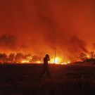 Greece_Wildfires_61329.jpg