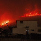 Greece_Wildfires_16260.jpg