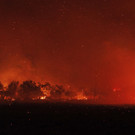 Greece_Wildfires_44418.jpg
