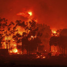 Greece_Wildfires_31391.jpg
