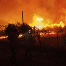 Greece_Wildfires_32099.jpg