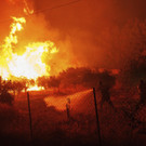 Greece_Wildfires_61838.jpg