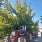 Baum stürzte auf Traktor
