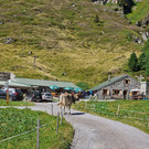 Verbella11.jpg
