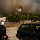 AFP_33T987W.jpg