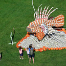 AFP_33TE396 _1_.jpg
