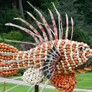 AFP_33TE399 _1_.jpg